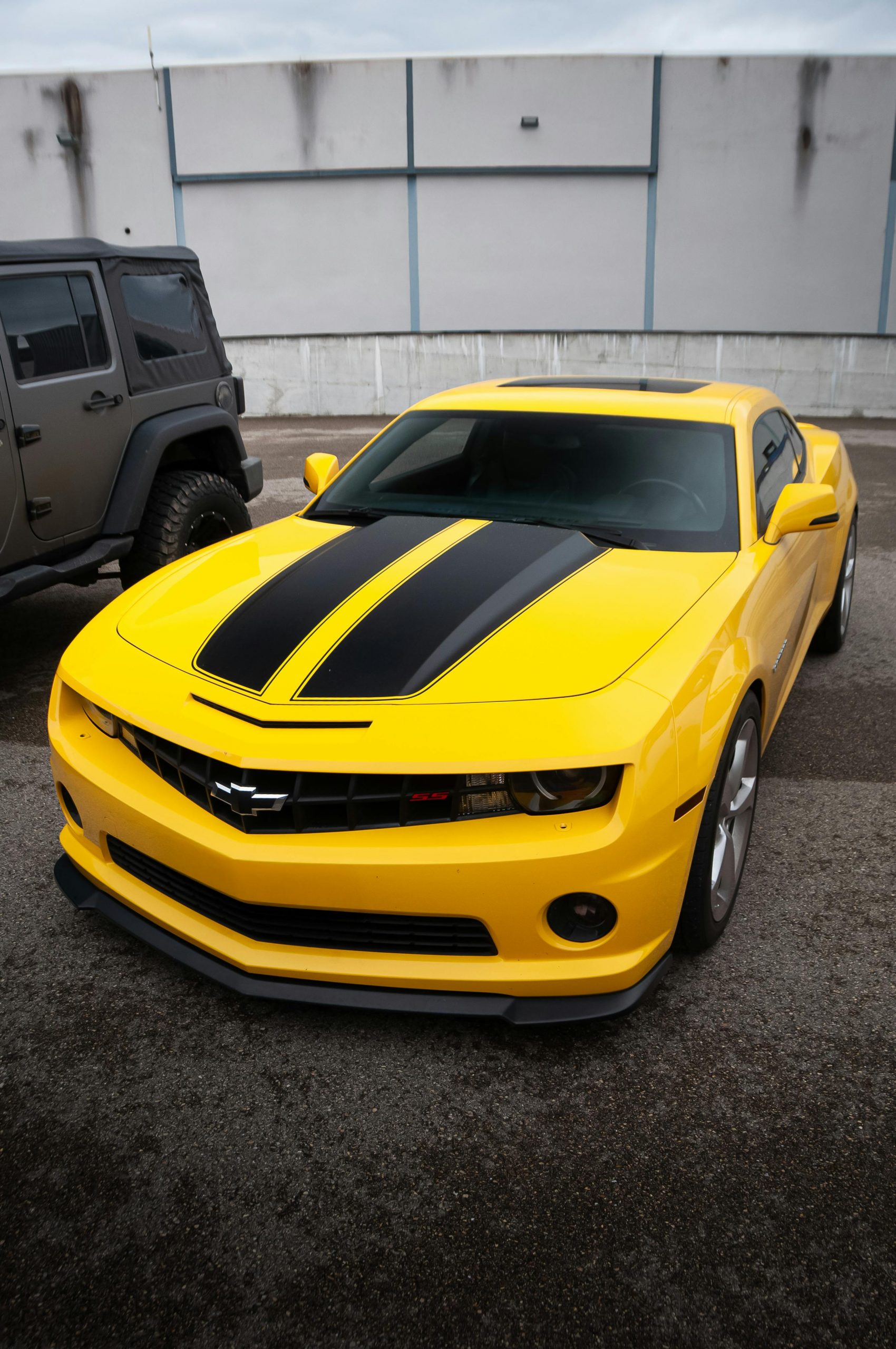 pexels-pudding-31626783